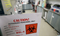 Francis A. Boyle: Vražedný virus, delikátní otazníky